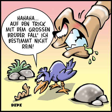 geile sachen!!!!! - 