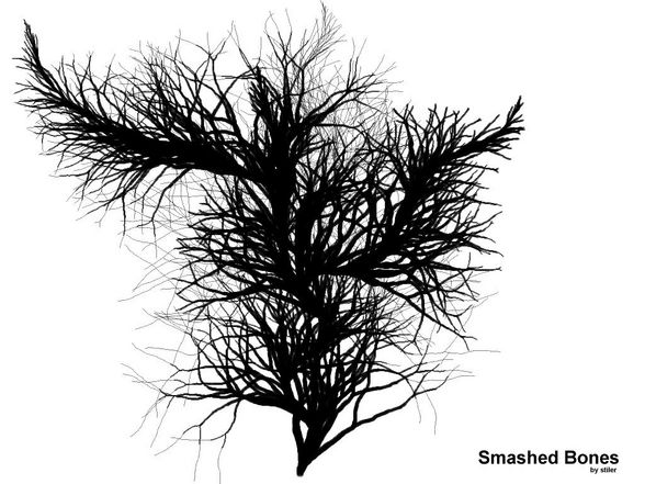 smashed bones - 