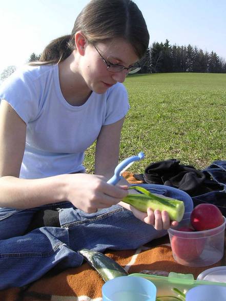 picknick - 