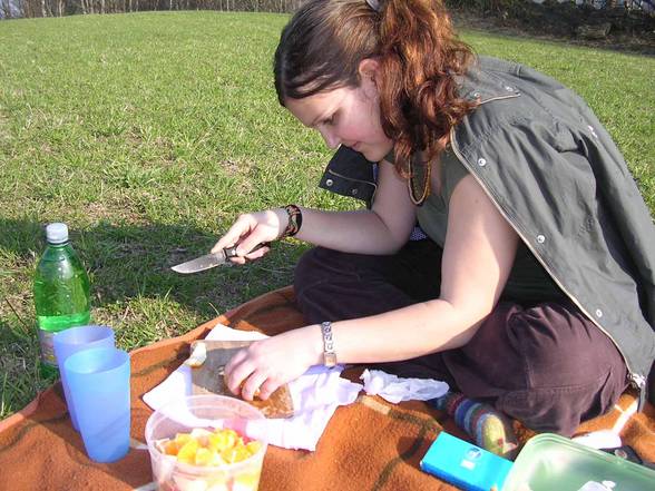 picknick - 