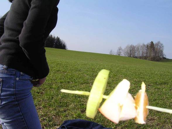 picknick - 