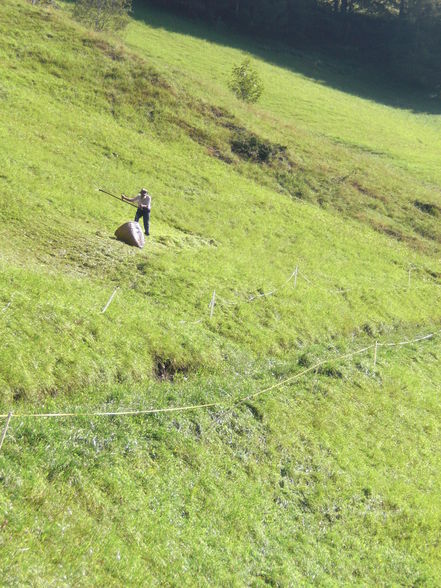 natur pur, die ungeschminkte wahrheit.=) - 