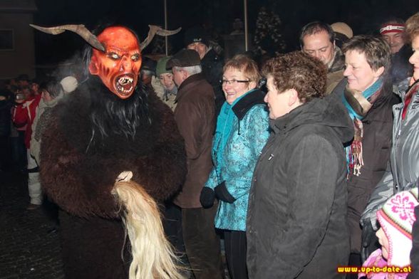 Perchtenlauf Steinerkirchen/Traun 2010 - 