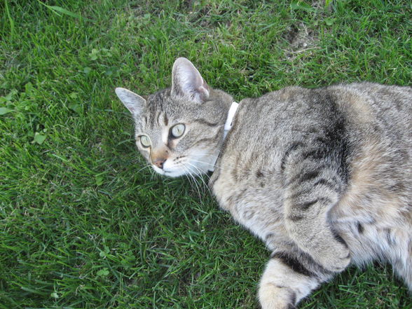 Muttertag im Garten - 