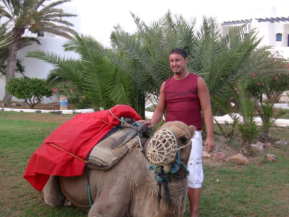 Djerba Urlaub 2008 - 