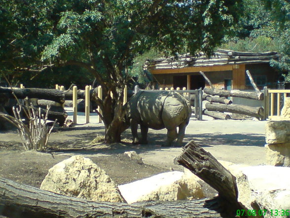 schönbrunn (wien) - 