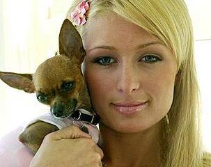 paris hilton - 