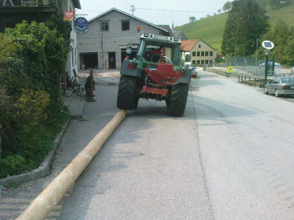 Maibaum stön - 