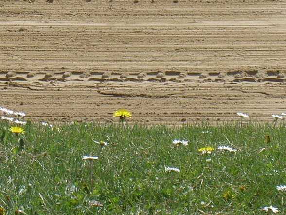 BIBIONE (Ostern 2007) - 