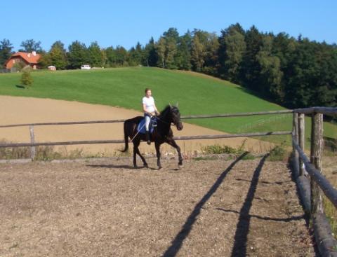 Reiten und training - 