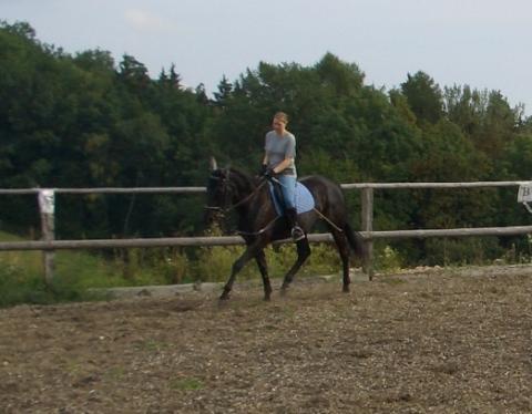 Reiten und training - 