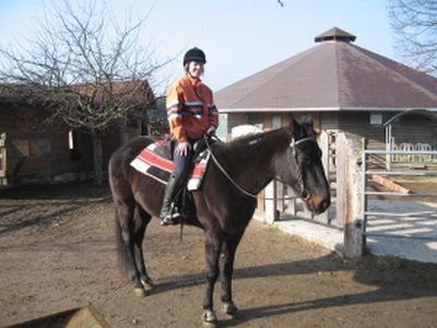 Reiten und training - 