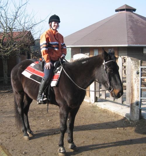 Reiten und training - 