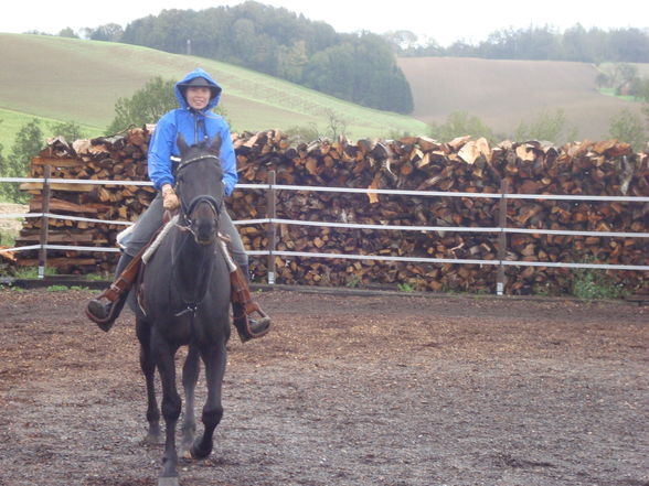 Auch im regen mussen wir arbeiten !!!! - 