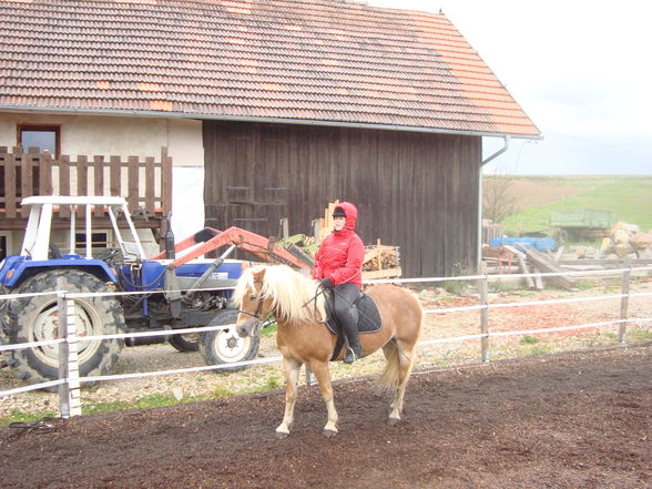 Auch im regen mussen wir arbeiten !!!! - 