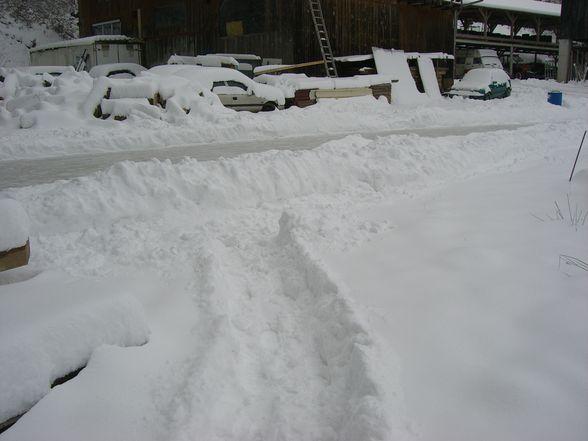 Meine Eisbahn 2008 - 