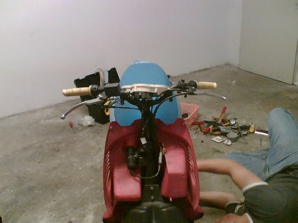 zauners moped - 