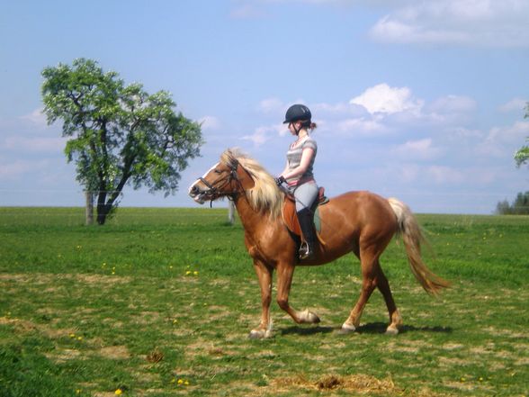 Hafi reiten =) - 