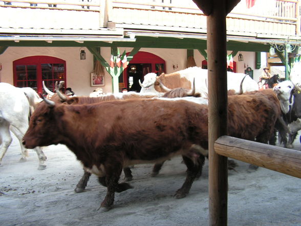 Pullman City 2009 - 