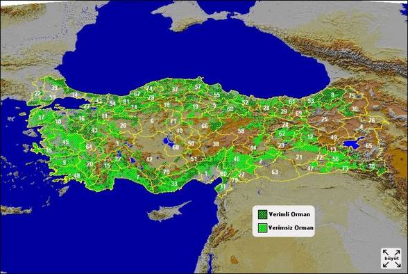 Szene`in Türkleri - 