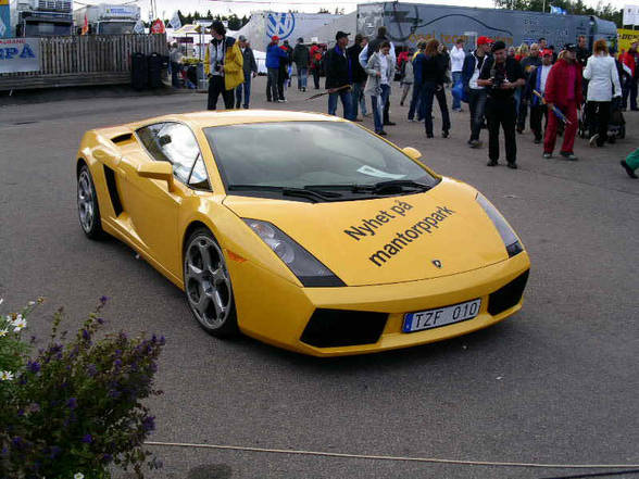 Lamborgini und Ferari - 