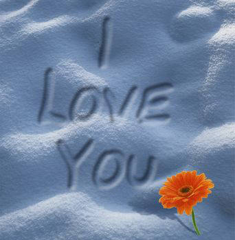 I LOVE YOU - 