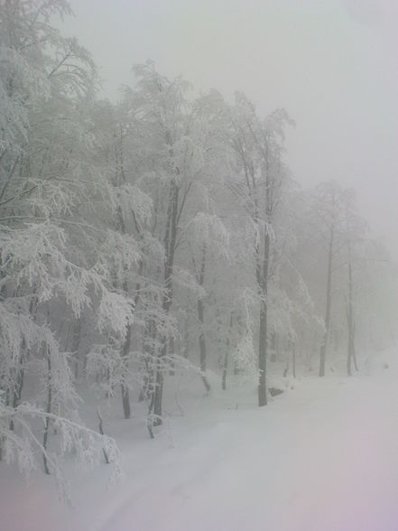 Winter 08/09!!! :-) - 