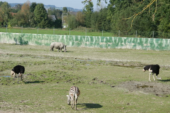 >~ TiiErPaRk ScHmiieDiing ~ - 