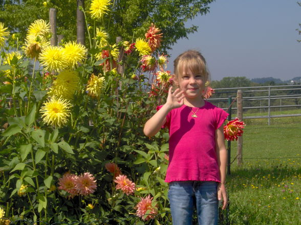 meine kleine schwester - 