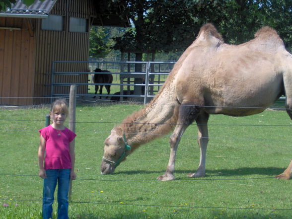 meine kleine schwester - 