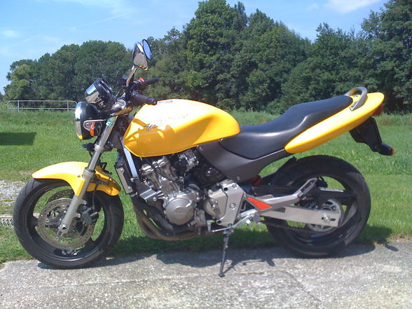 Honda Hornet - 