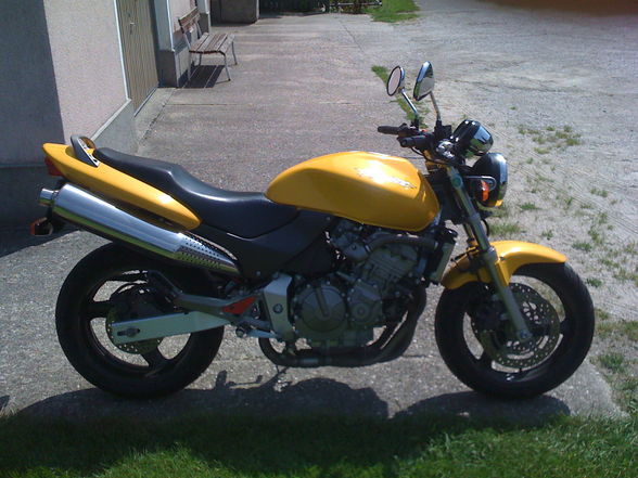 Honda Hornet - 