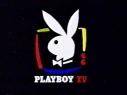 Playboybunny - 