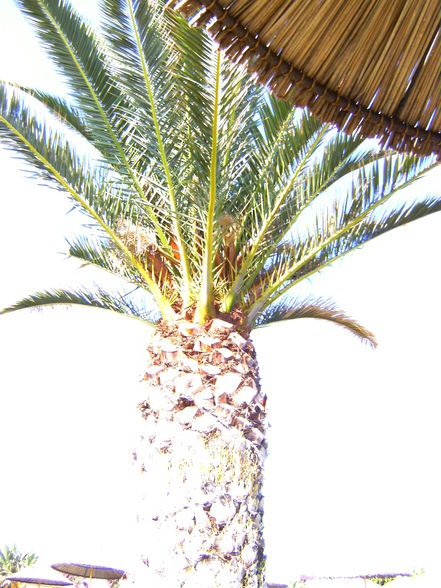 Kreta08 - 