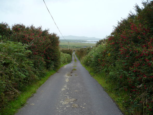 Irland 2007 - 