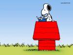 Snoopy&co - 