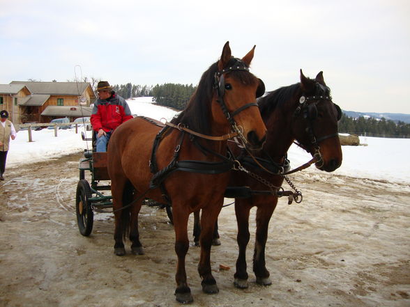 JosefimarkT 2010 - 