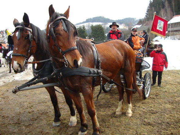 JosefimarkT 2010 - 