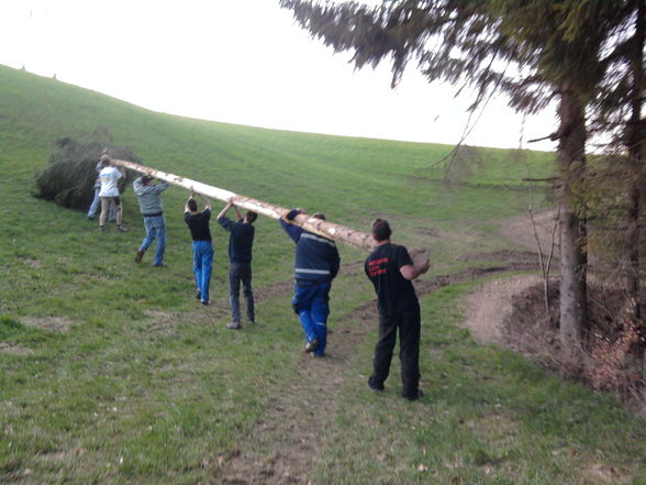 Maibaum.. =P - 