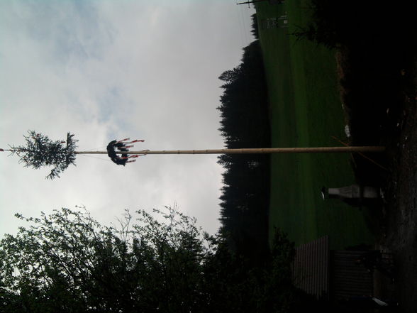 Maibaum.. =P - 