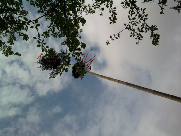 Maibaum.. =P - 