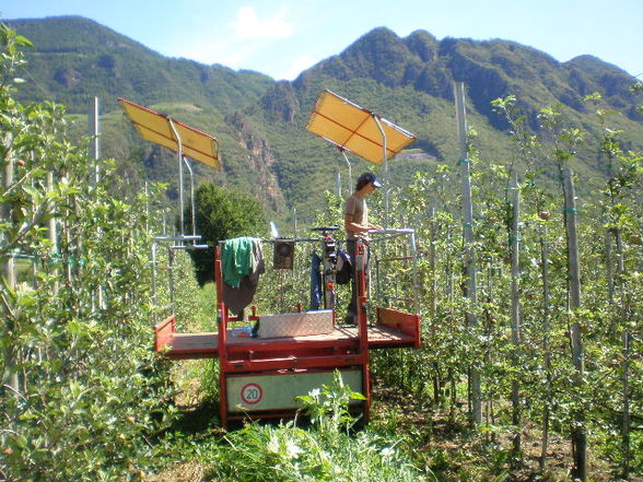 Südtirol 2008 - 