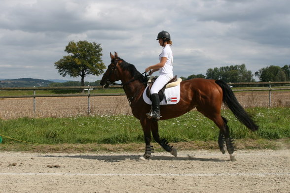 Trec EM Schweiz 2007 - 