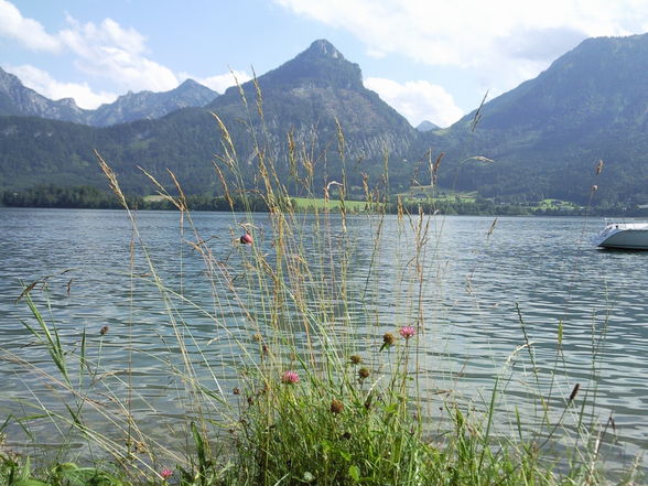 Wolfgangsee 09 - 