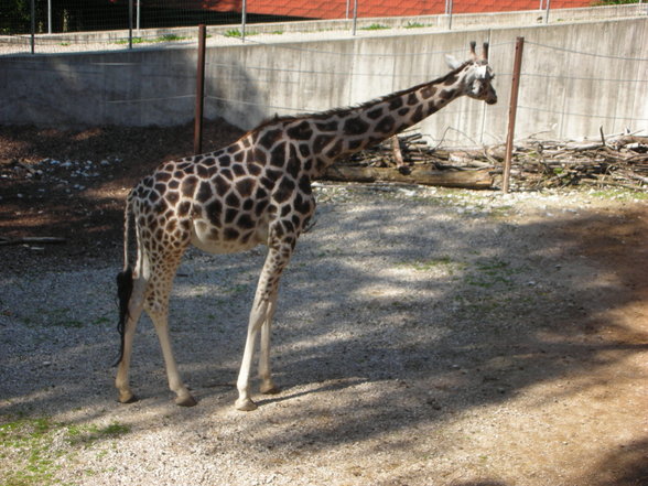 Steffi und ich im Tierpark Schmiding - 