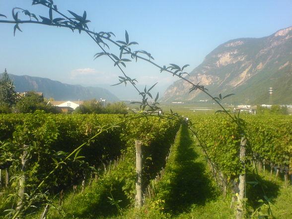 Italien 2009 - 