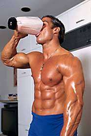 bodybuilder - 