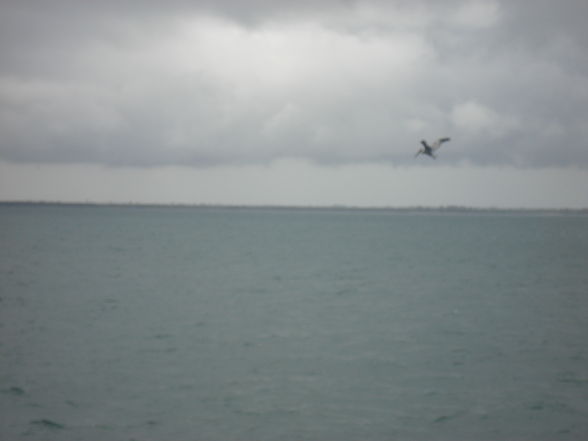 Florida/USA - 