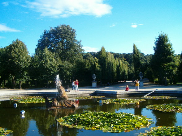 Schönbrunn - 