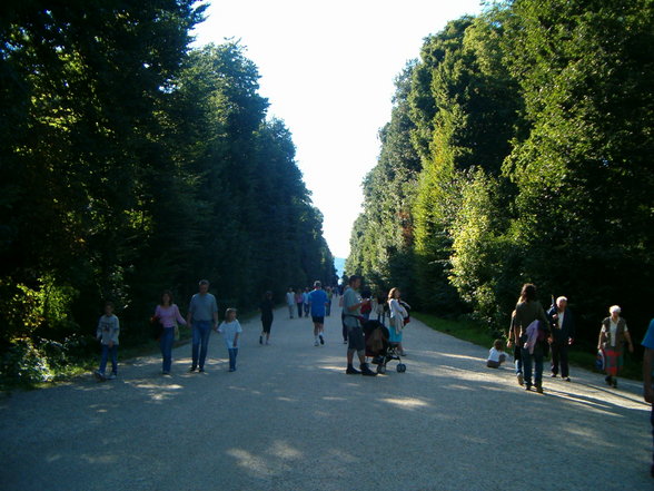 Schönbrunn - 